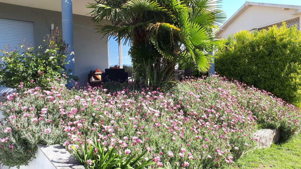 Apartamento Quinta De Reiriz
