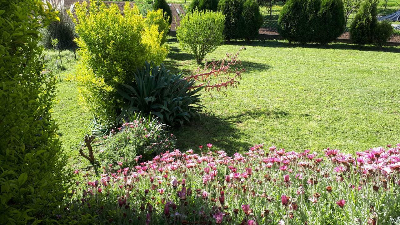 Quinta De Reiriz Apartamento Monção