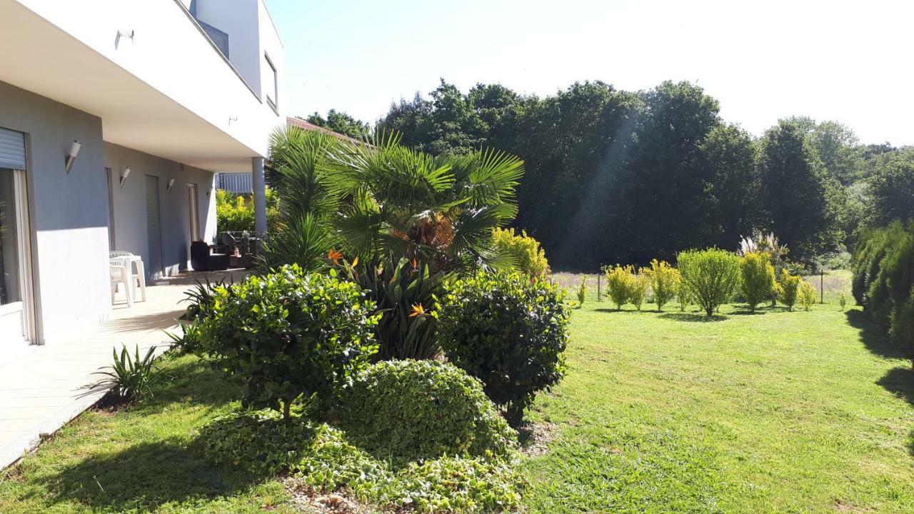 Quinta De Reiriz Apartamento
